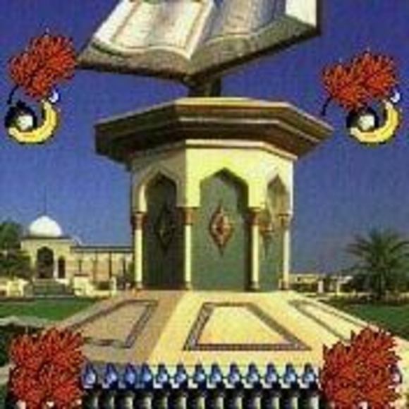 Meet your Posher, Abdirazak - Picture 1 of 1